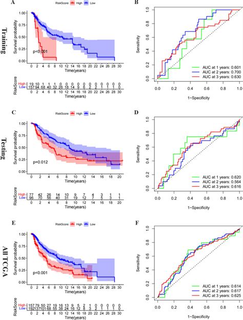 Effects Of Rna Methylation N6 Methyladenosine Regulators On Malignant