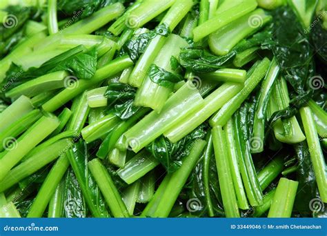 Stir Fried Chinese Mustard Greens Stock Photo Image Of Organic Baby