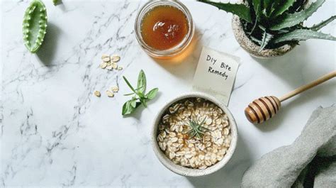 How To Make DIY Bug Bite Relief Remedies That Actually Work ...