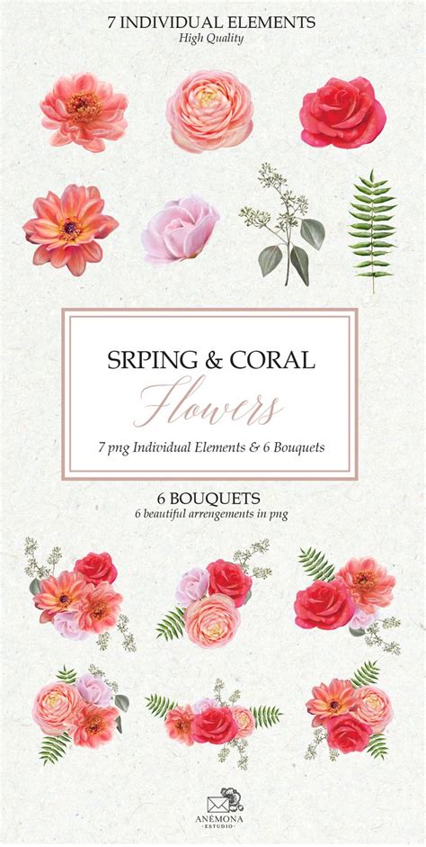 Coral Flowers Watercolor Clipart Flower Clipart Watercolor Etsy