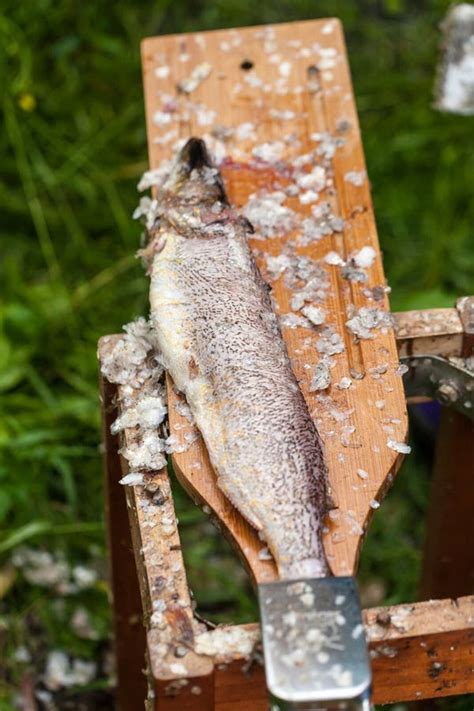 Een Lijst En De Schoongemaakte Vissen Na Het Uithalen Vissen Of Het