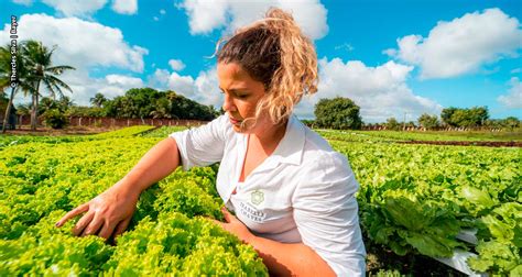 Produtoras rurais do Nordeste se destacam por boas práticas agrícolas