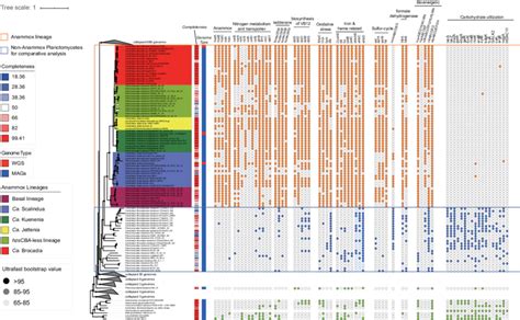 The phyletic pattern of ecologically relevant genes in the comparison... | Download Scientific ...