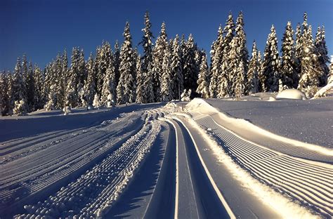 Jack's Photo & Travelblog: Cross country skiing in Norway