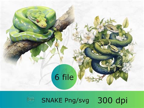 Snake Svg Bundle, Cute Snake Svg, African Wildlife, Safari Theme Design ...