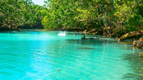 8 Best Things To Do On Espiritu Santo Vanuatu Herald Sun