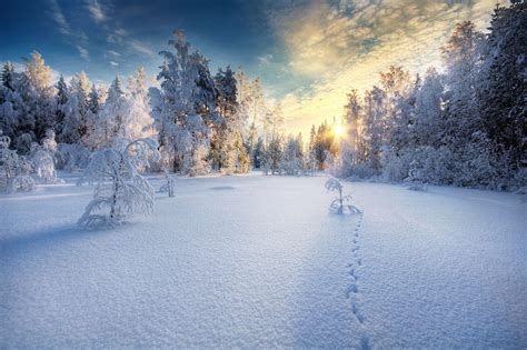 Прекрасная зима в фотографиях Mikko Lagerstedt