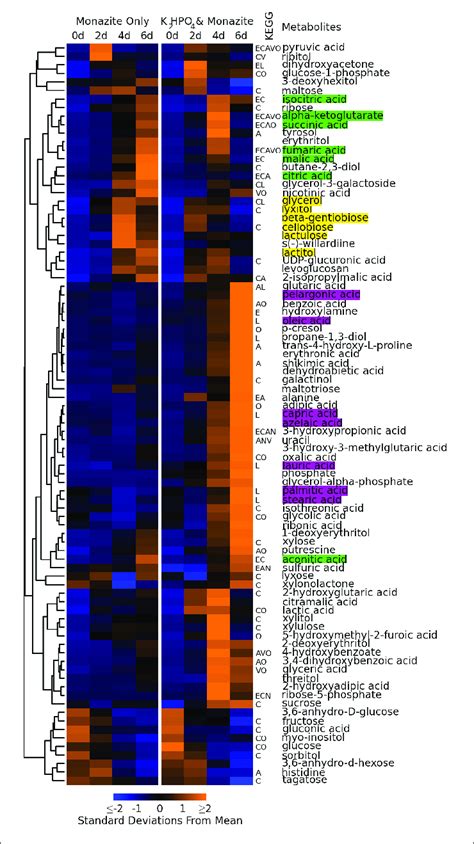 Concentration Profiles Of Identified Metabolites Heatmap Shows