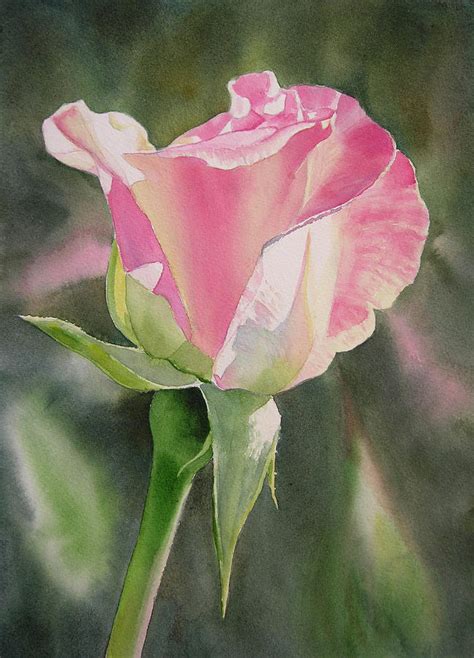 Rose Bud Painting at PaintingValley.com | Explore collection of Rose ...