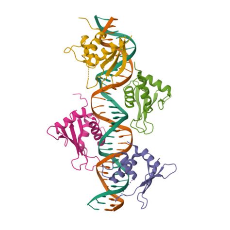 Rcsb Pdb Pi Crystal Structure Of Irf Bound To The Prdiii I