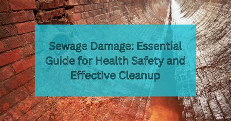 Sewage Damage Effective Cleanup AAA Water Restoration