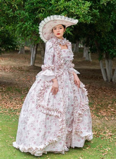 Rococo Baroque Marie Antoinette Dress Pink Rose Victorian Inspired