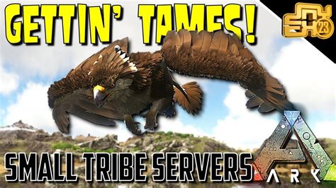 ARK SMALL TRIBE SERVERS EP 10 TAMING ALL THE THINGS YouTube