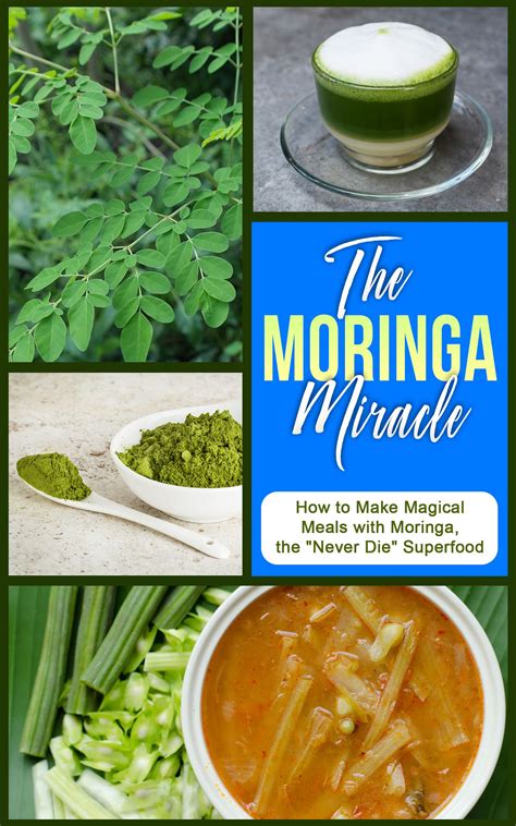 Pin On How To Use Moringa For Weight Loss