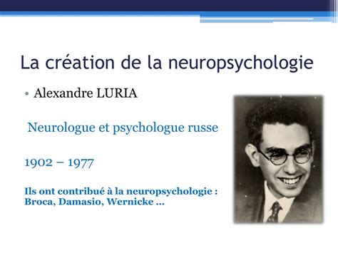 Ppt Rem Diation Neuropsychologique Th Orie Et Pratique Powerpoint