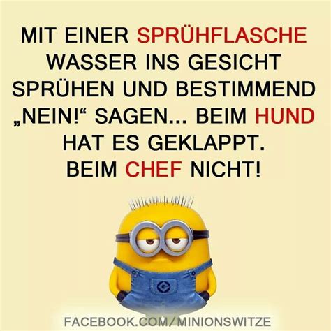 Pin von Ingo Reith auf Minions Sarkastische sprüche Lustige zitate