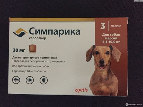 Ветеринарный препарат Zoetis Симпарика / Simparica - «Симпарика теперь ...