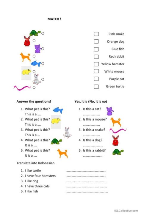 337 Pets English Esl Worksheets Pdf And Doc