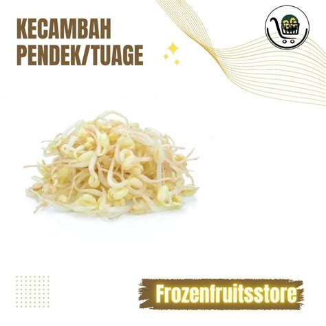 Jual Kecambah Pendek Kecambah Rawon Kecambah Kacang Hijau Touge