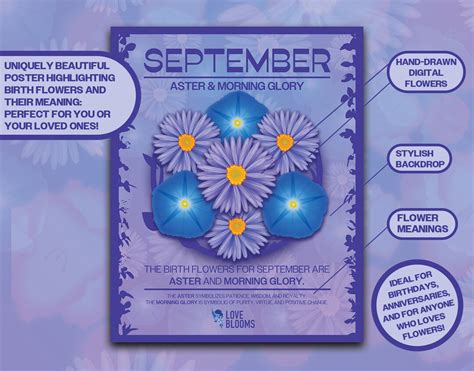 September Birth Flower Digital Print Aster & Morning Glory Birth Month ...