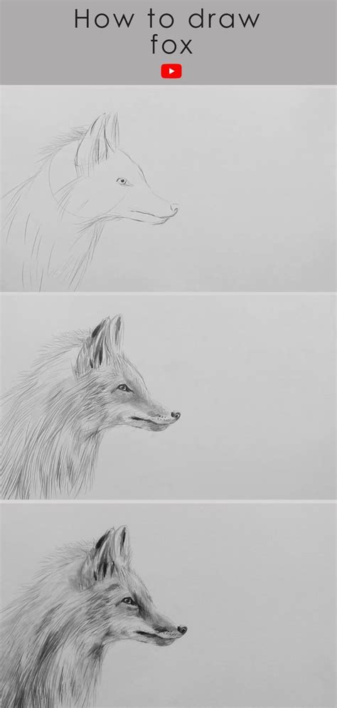 Simple and Realistic Fox Drawing Tutorial