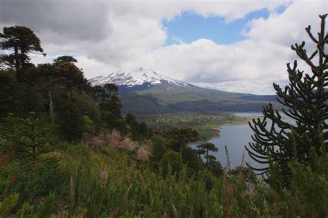 National Park Conguillío - Andes Viva