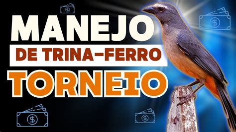 Como fazer trinca ferro campeão de torneio manejo pra roda Manejo de