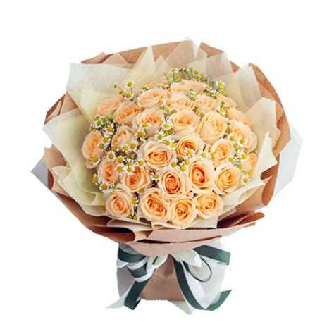 Roses :: ROSES By Color :: Peach Roses :: 2 Dozen Peach Rose Bouquet