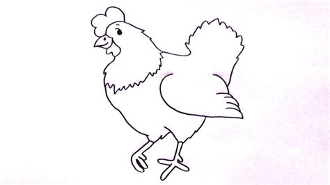 C Mo Dibujar Una Gallina Paso A Paso F Cil Dibujos Para Ni Os