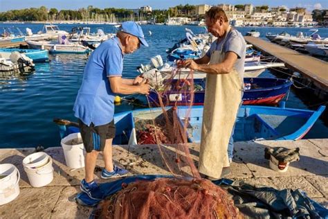 Cinque Amiche Fondano Un Azienda In Romagna Per Vendere Solo Granchio