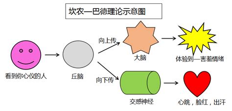 几张图教会你情绪理论的区别 知乎