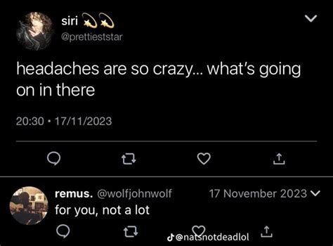 Marauders Era Tweets Natsnotdeadlol On Tiktok The Marauders Harry Potter Marauders Gay