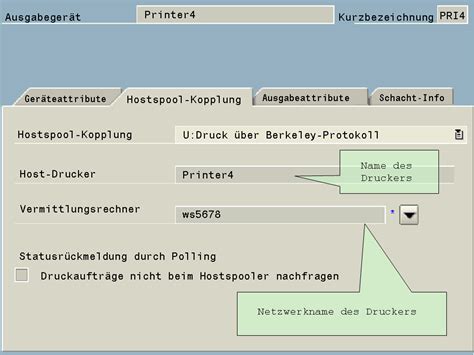 Ausgabegerät für entfernten Druck auf Netzwerkdrucker oder Drucker der