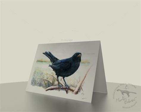 Blackbird Greeting Card 7x5 British Garden Birds Print Of Etsy