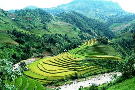 THE 10 BEST Hotels in Mu Cang Chai, Vietnam 2025 (from $10) - Tripadvisor