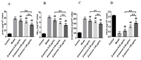 β Asarone Protects P Tau From Okadaic Acid In Pc12 Cells By Activating