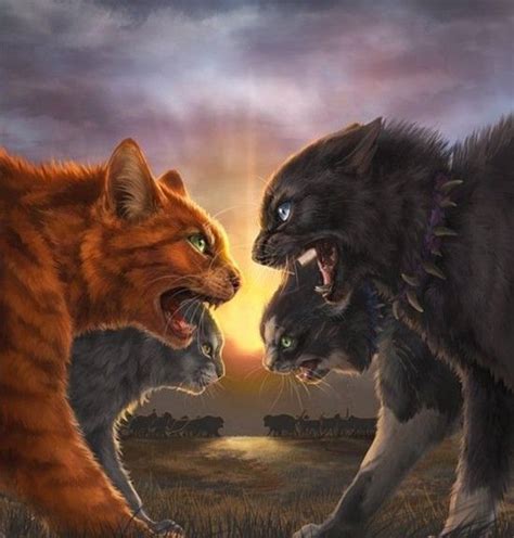 Firestar Vs Scourge Warrior Cats Fan Art Warrior Cats Scourge