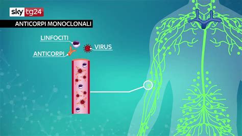 Anticorpi Monoclonali Sperimentazione Per La Cura Del Covid Video Sky