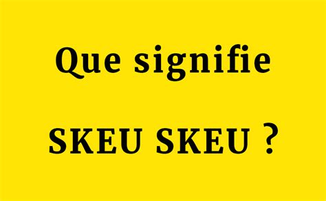 Que Signifie Skeu Skeu D Finition Et Signification Que Signifie