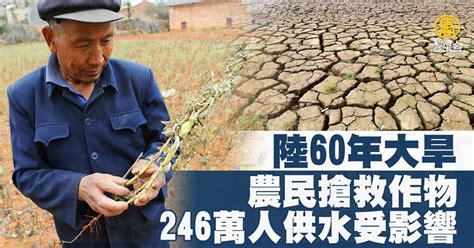 陸60年大旱 農民搶救作物 246萬人供水受影響 新唐人亞太電視台