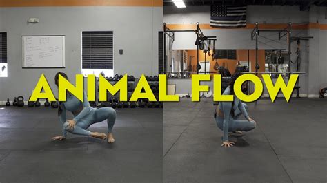 animal flow workout advanced - Laure Kyle