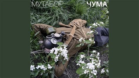 Чума - YouTube