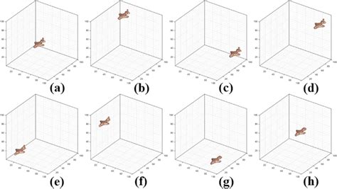 Illustration Of Local Feature Extraction Capability Of The