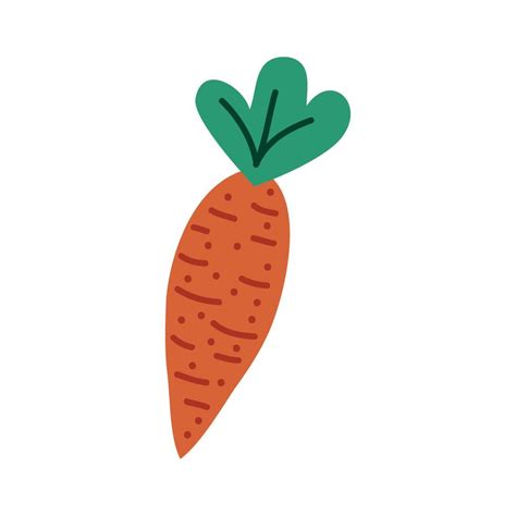 Fresh Carrot Vegetable 11036485 Vector Art At Vecteezy