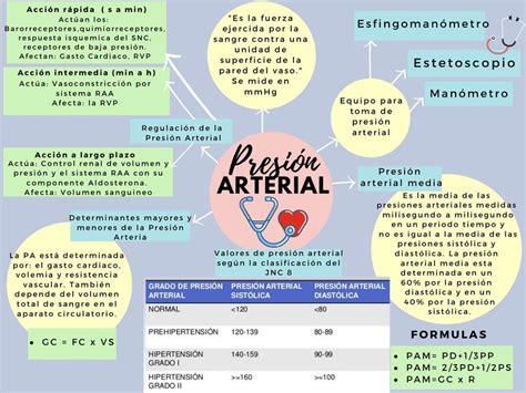 Presion Arterial Erika Villatoro UDocz