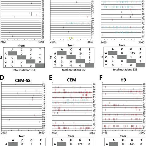 Xmrv Hypermutation In Prostate Cancer And T Cell Lines Mutations Found