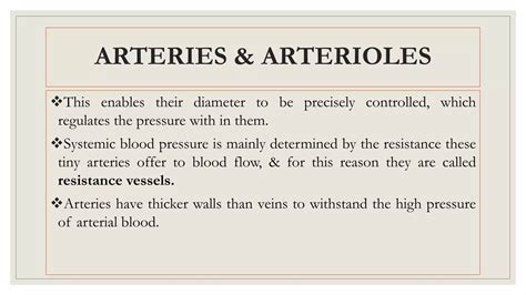 Arteries Arterioles Veins Venules Capillary And Fluid Or Gaseous