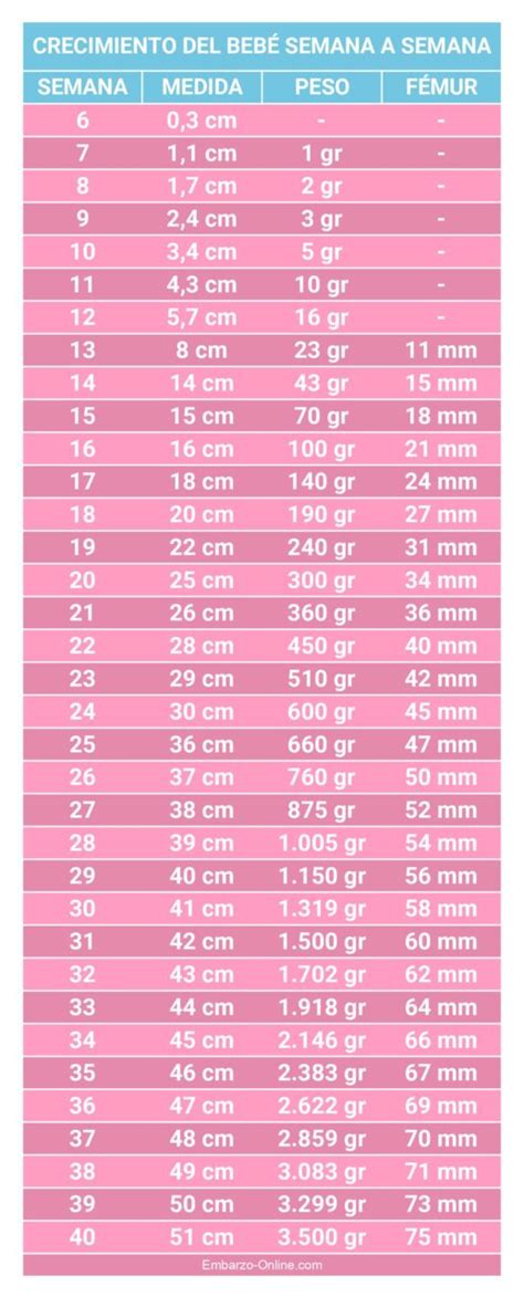 Cuanto Mide Y Pesa El Bebé En Cada Semana De Embarazo Embarazo Online