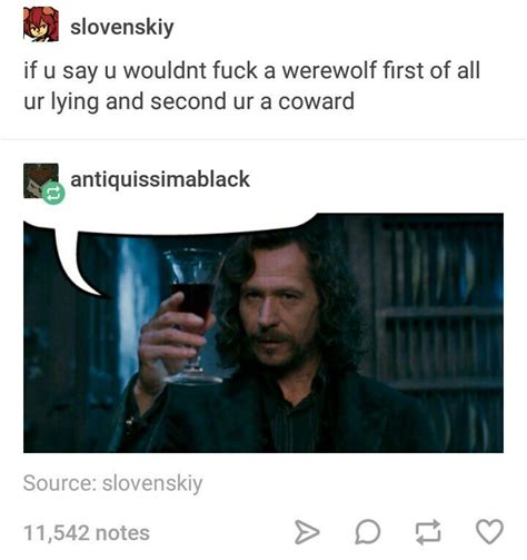 Wolfstar Gay Harry Potter Harry Potter Headcannons Harry Potter Funny