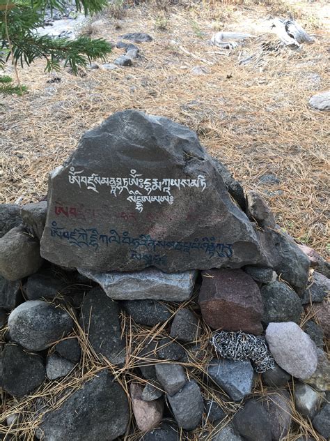 Most unusual thing you've seen in the woods | Page 3 | Rokslide Forum